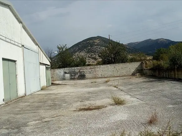 Commercial Property In Nikiforos, Greece (1.000 M²)