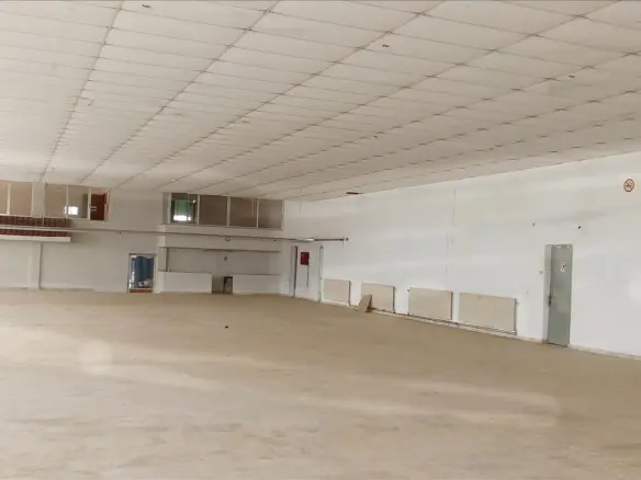 Commercial Property In Nikiforos, Greece (1.000 M²)