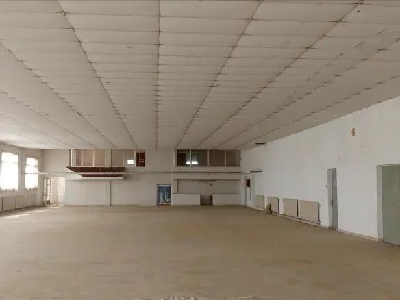 Commercial Property In Nikiforos, Greece (1.000 M²)