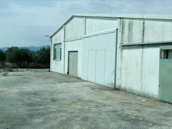 Commercial Property In Nikiforos, Greece (1.000 M²)