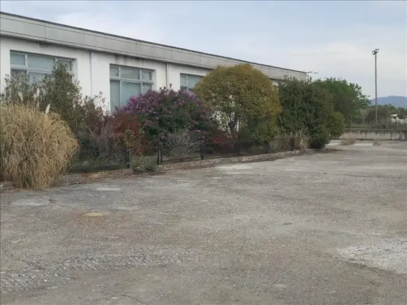 Commercial Property In Nikiforos, Greece (1.000 M²)