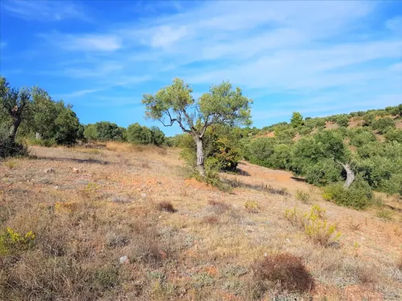 Land In Poligiros, Greece