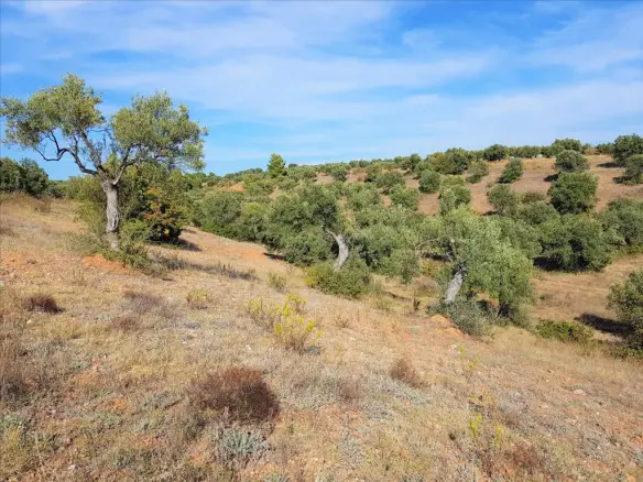 Land In Poligiros, Greece