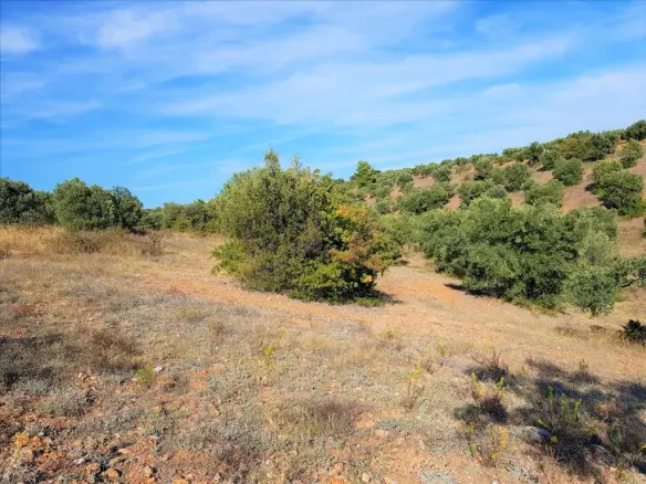 Land In Poligiros, Greece