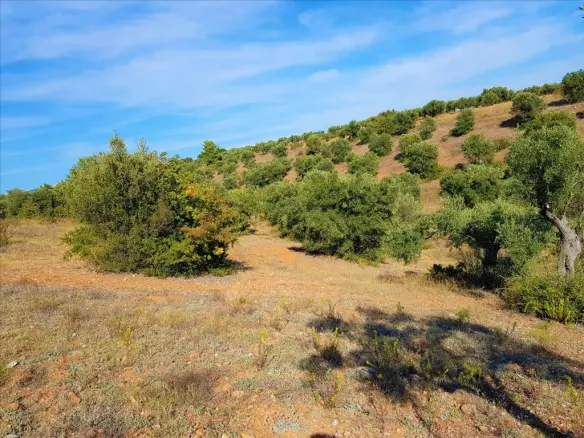 Land In Poligiros, Greece