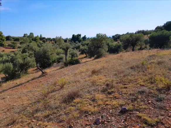 Land In Poligiros, Greece