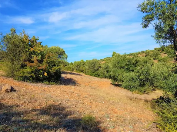 Land In Poligiros, Greece
