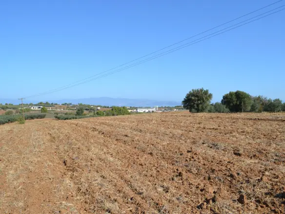 20,000 M² Parcel Of Land In Kassandra, Chalkidiki