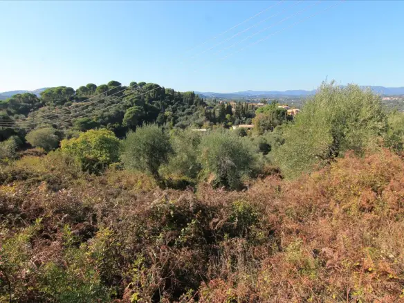 Land In Corfu, Greece