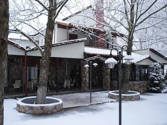 Business In Aridaia, Greece (700 M²)