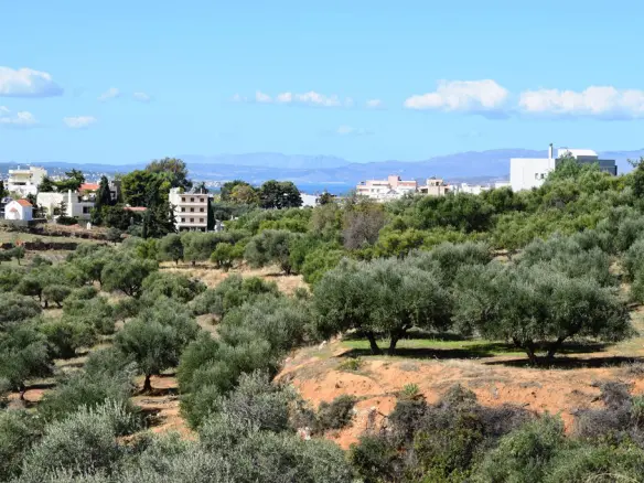 Land In Chania, Greece