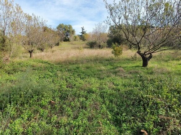 Land In Nea Propontida, Greece