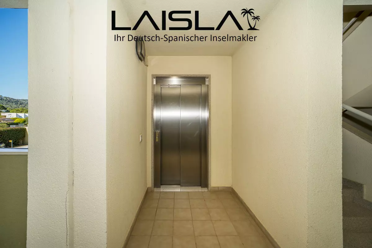 3ce65f0c-84dc-4119-9716-6364a9eaf59f