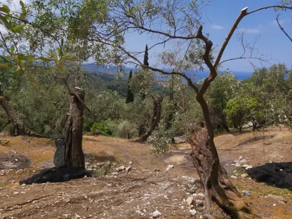 Land In Corfu, Greece
