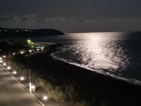 Business In Greece (272 M²)