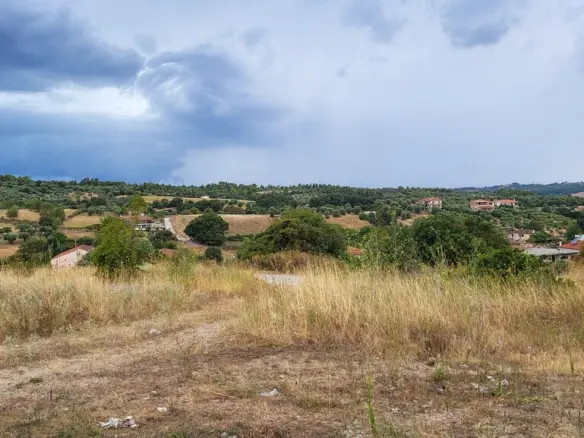 Land In Kassandra, Greece