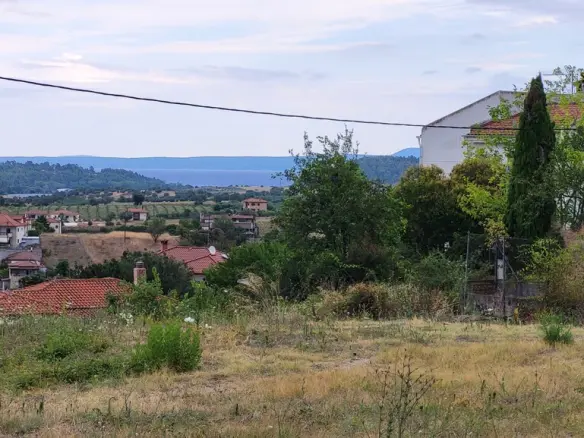 Land In Kassandra, Greece
