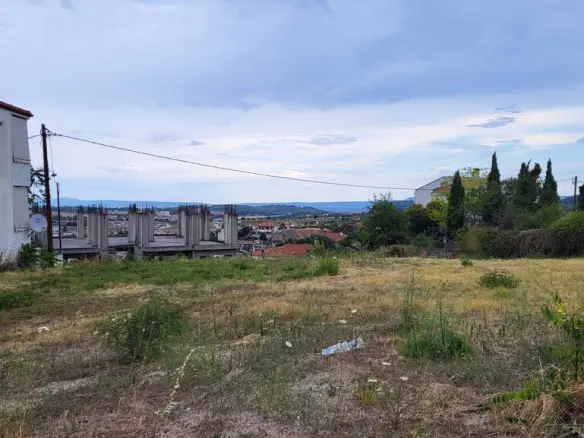 Land In Kassandra, Greece