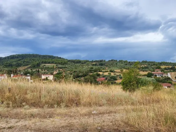 Land In Kassandra, Greece