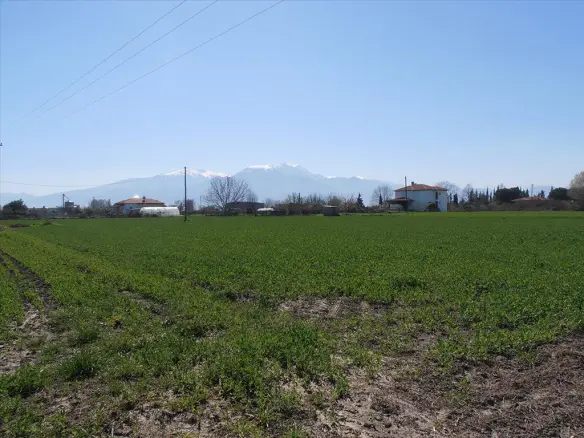4000 M² Plot Available On The Olympic Coast Region