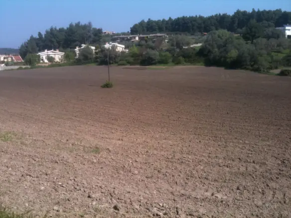 4100 M² Parcel Of Land In Kassandra, Chalkidiki Region