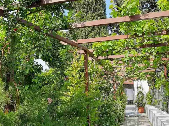 Detached House In Nea Makri, Greece (260 M²)