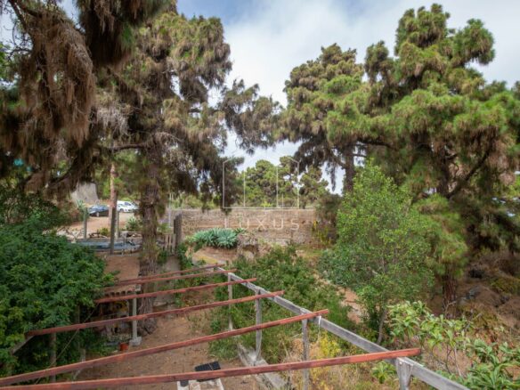 3-bedroom Country House In Icod De Los Vinos, Spain (195 M²)