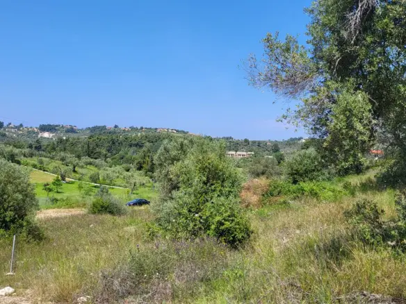 Land In Kassandra, Greece