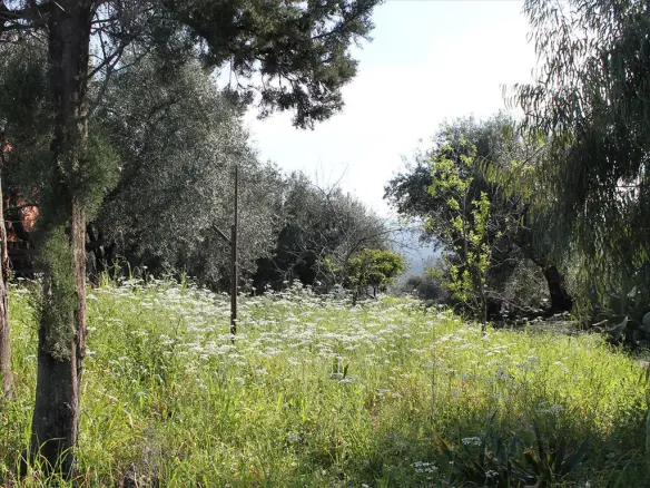 Land In Corfu, Greece