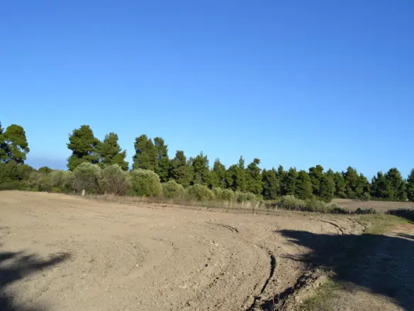 Land In Kassandra, Greece