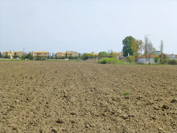 Land In Paralia, Greece (4.985 M²)