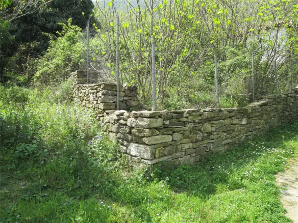 Land In Thasos, Greece