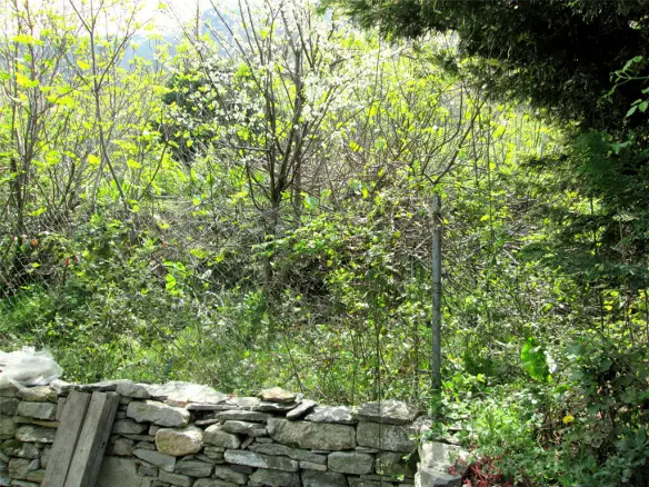 Land In Thasos, Greece