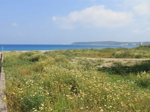 Land In Rhodes, Greece (7.800 M²)