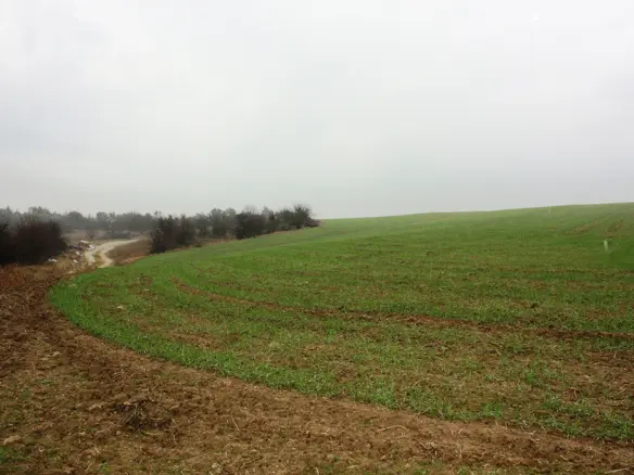 Land In Mikra, Greece
