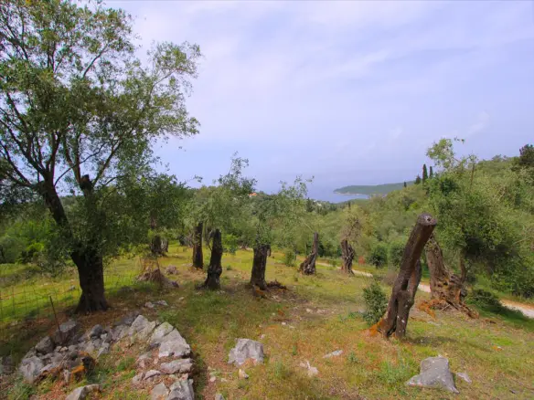 Land In Corfu, Greece
