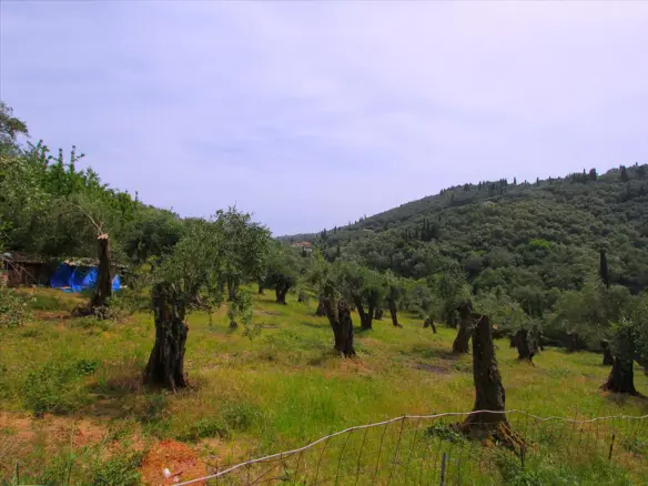 Land In Corfu, Greece