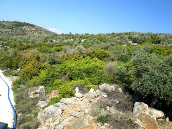9200 M² Plot Of Land Available On Thassos Island