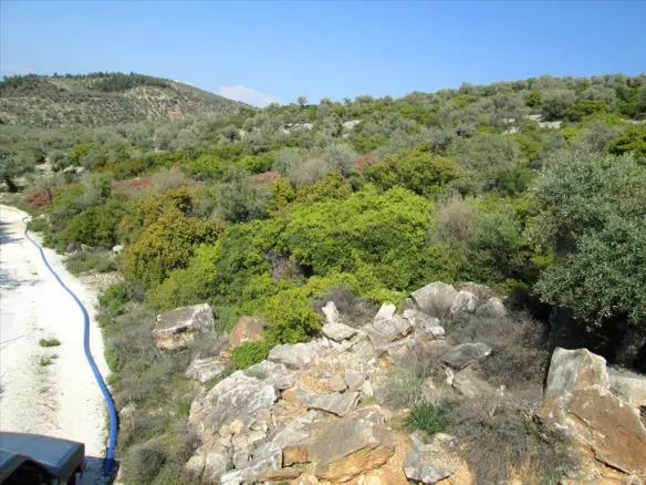 Land In Thasos, Greece