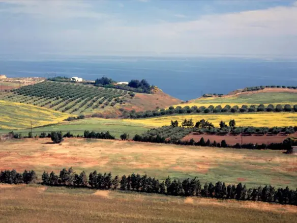 Land In Thermaikos, Greece