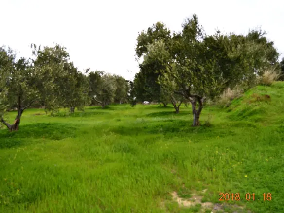 2240 M² Land Parcel Available In Crete
