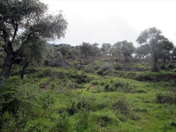 Land In Thasos, Greece