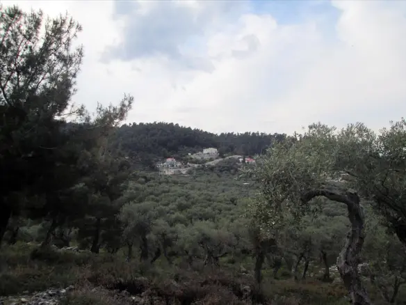 Land In Thasos, Greece