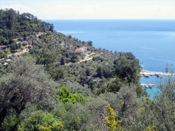 Land In Thasos, Greece