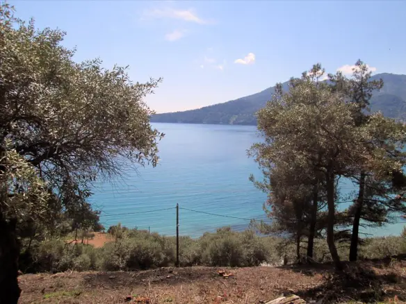 Land In Thasos, Greece