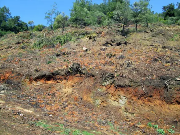 Land In Thasos, Greece