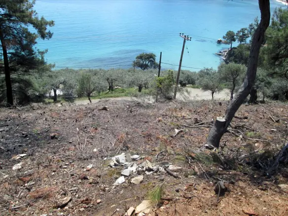 Land In Thasos, Greece