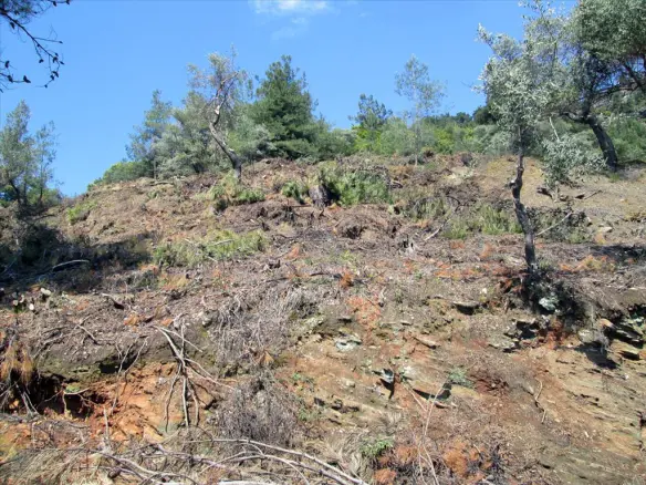 Land In Thasos, Greece