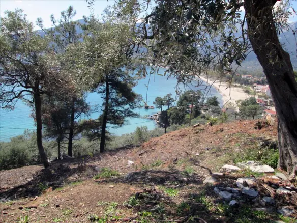 Land In Thasos, Greece