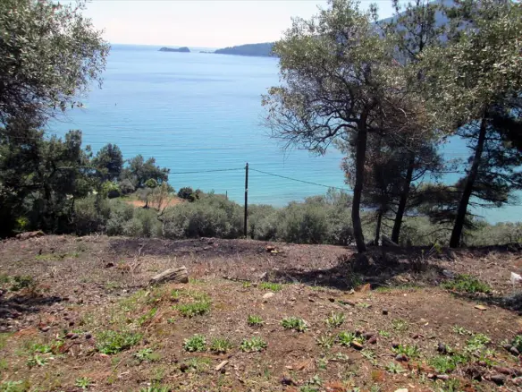 Land In Thasos, Greece